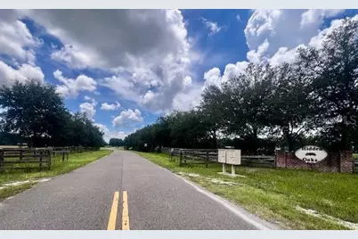 4899 NW 36th Street, Bell, FL 32619 - Photo 3