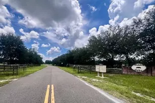 4899 NW 36th St, Bell, FL 32619 - Photo 3