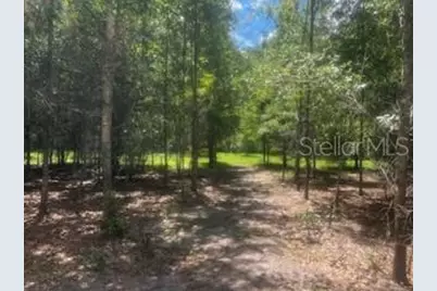 4899 NW 36th Street, Bell, FL 32619 - Photo 21