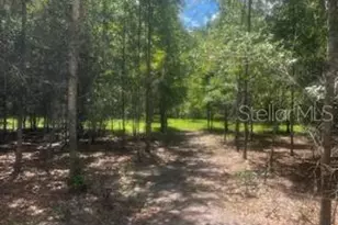 4899 NW 36th St, Bell, FL 32619 - Photo 21