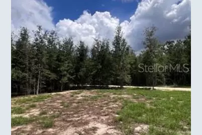 4899 NW 36th Street, Bell, FL 32619 - Photo 15