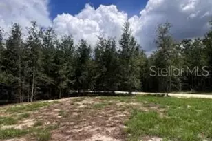 4899 NW 36th St, Bell, FL 32619 - Photo 15