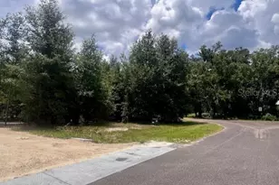 4899 NW 36th St, Bell, FL 32619 - Photo 25