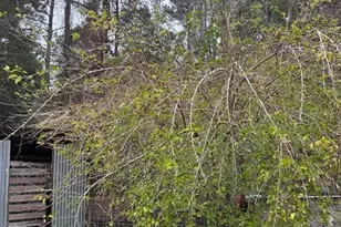 23216 NE 35 Ave, Melrose, FL 32666 - Photo 19