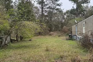 23216 NE 35 Ave, Melrose, FL 32666 - Photo 3