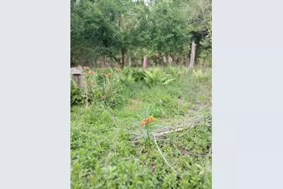 23216 NE 35th Avenue, Melrose, FL 32666 - Photo 25