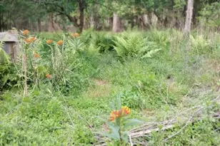 23216 NE 35 Ave, Melrose, FL 32666 - Photo 25