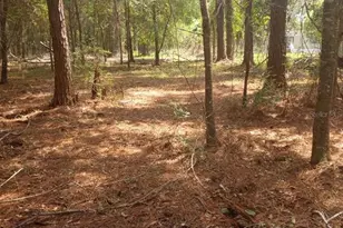 23216 NE 35 Ave, Melrose, FL 32666 - Photo 27