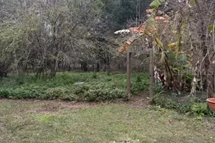 23216 NE 35 Ave, Melrose, FL 32666 - Photo 15