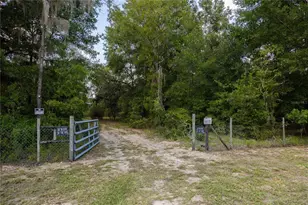 11910 NE 103rd Terrace, Archer, FL 32618 - Photo 23