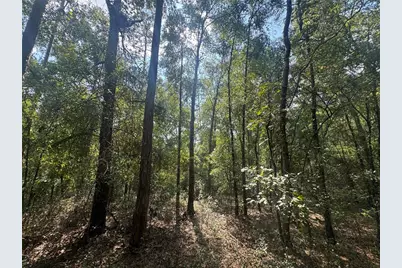 Lot 44 SW Kentucky Street, Fort White, FL 32038 - Photo 7