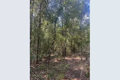 Lot 44 SW Kentucky Street, Fort White, FL 32038 - Photo 9