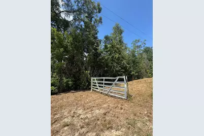 Lot 44 SW Kentucky Street, Fort White, FL 32038 - Photo 3