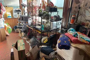 1305 NE 7th Ter, Gainesville, FL 32601 - Photo 11