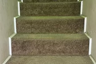 8470 NW 120th St, Chiefland, FL 32626 - Photo 13