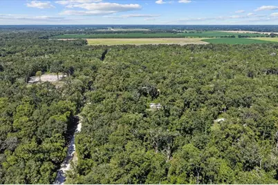 4135 290th Terrace, Branford, FL 32008 - Photo 57