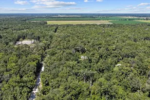 4135 290th Terrace, Branford, FL 32008 - Photo 57