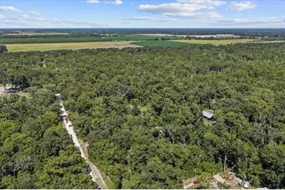 4135 290th Terrace, Branford, FL 32008 - Photo 53