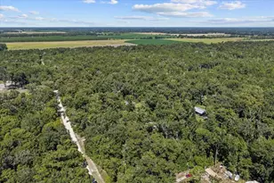 4135 290th Terrace, Branford, FL 32008 - Photo 53