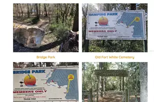 4135 290th Terrace, Branford, FL 32008 - Photo 33