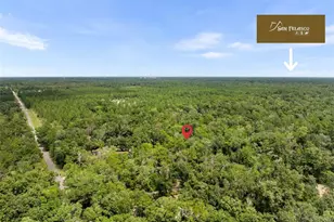 6916 NW 67th Ave, Gainesville, FL 32653 - Photo 47