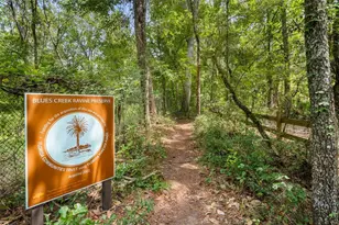 6916 NW 67th Ave, Gainesville, FL 32653 - Photo 51