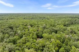 6916 NW 67th Ave, Gainesville, FL 32653 - Photo 45