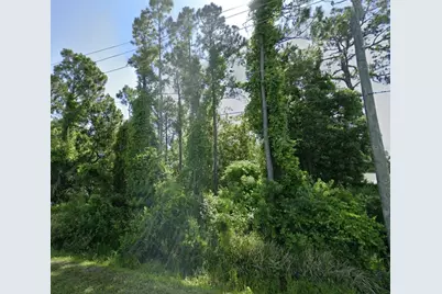 Dobbs Road, Saint Augustine, FL 32086 - Photo 3