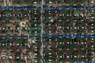 Lot 40 NE 102nd Ct, Bronson, FL 32621 - Photo 1