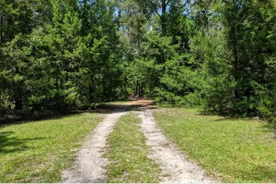 4700 NW 55th Avenue, Bell, FL 32619 - Photo 35