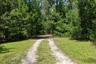 4700 NW 55th Ave, Bell, FL 32619 - Photo 35