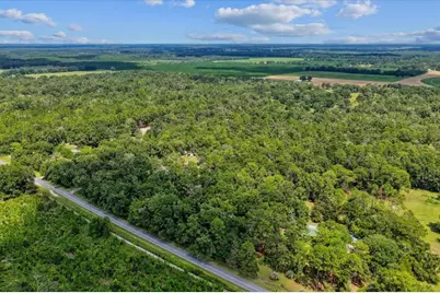 4700 NW 55th Avenue, Bell, FL 32619 - Photo 29