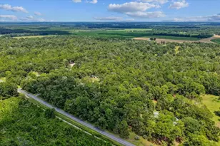 4700 NW 55th Ave, Bell, FL 32619 - Photo 29