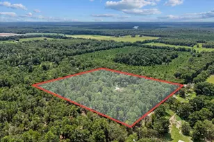 4700 NW 55th Ave, Bell, FL 32619 - Photo 27