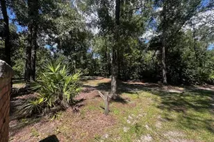 4700 NW 55th Ave, Bell, FL 32619 - Photo 71