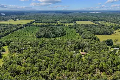 4700 NW 55th Avenue, Bell, FL 32619 - Photo 31