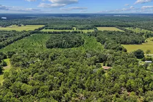 4700 NW 55th Ave, Bell, FL 32619 - Photo 31