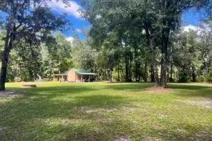 4700 NW 55th Ave, Bell, FL 32619 - Photo 69