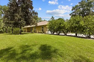 4700 NW 55th Ave, Bell, FL 32619 - Photo 23