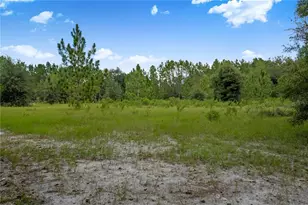 3749 SW 22nd Pl, Bell, FL 32619 - Photo 43