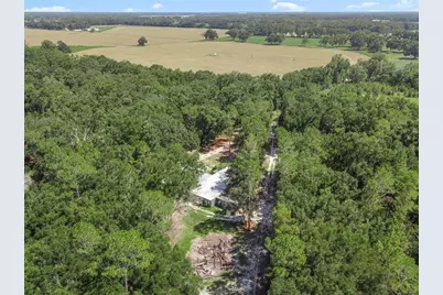 3749 SW 22nd Place, Bell, FL 32619 - Photo 9