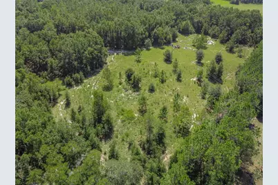 3749 SW 22nd Place, Bell, FL 32619 - Photo 7