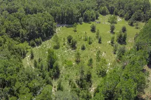 3749 SW 22nd Pl, Bell, FL 32619 - Photo 7