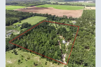 3749 SW 22nd Place, Bell, FL 32619 - Photo 3