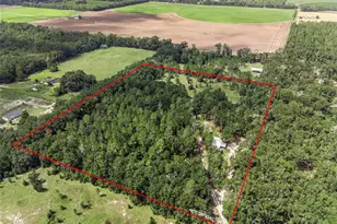 3749 SW 22nd Pl, Bell, FL 32619 - Photo 3