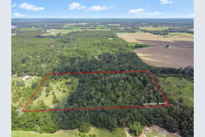 3749 SW 22nd Place, Bell, FL 32619 - Photo 5