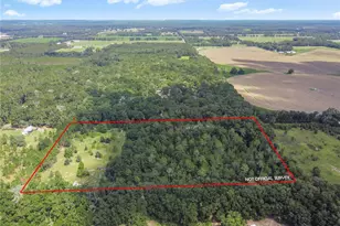 3749 SW 22nd Pl, Bell, FL 32619 - Photo 5