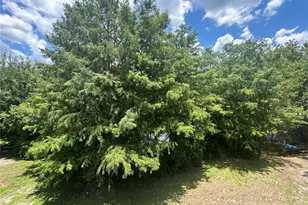 2360 SW Archer Rd, Gainesville, FL 32608 - Photo 25