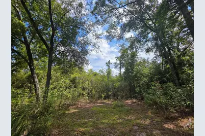 13117 N County Road 225, Gainesville, FL 32609 - Photo 15