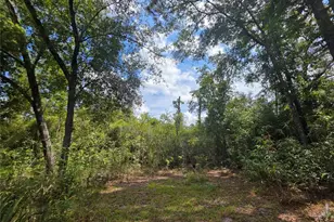 13117 N County Road 225, Gainesville, FL 32609 - Photo 15